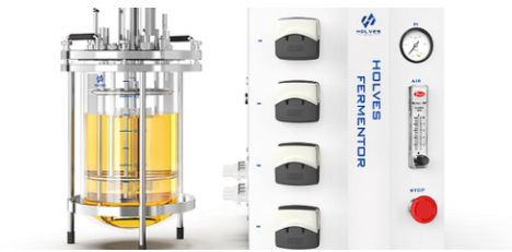 实验室91视频WWW免费下载