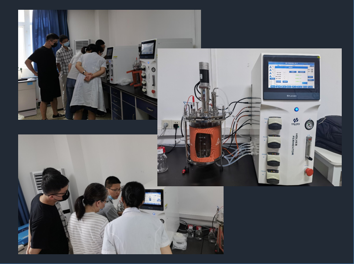 EU210实验室91视频WWW免费下载