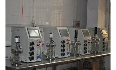 91视频WWW免费下载