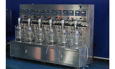 91视频WWW免费下载