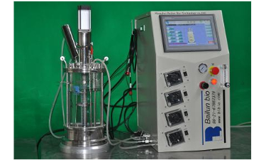 玻璃91视频WWW免费下载