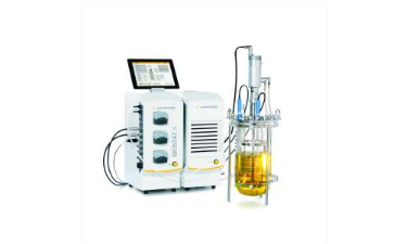 玻璃91视频WWW免费下载