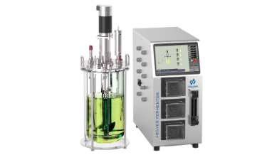 玻璃91视频WWW免费下载