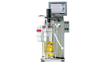 玻璃91视频WWW免费下载