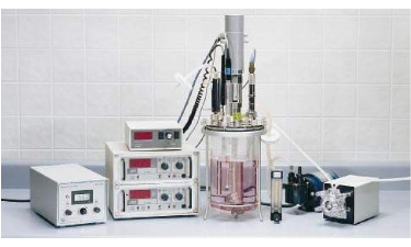 玻璃91视频WWW免费下载