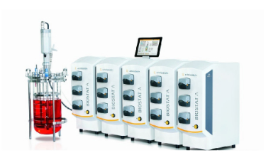 91视频WWW免费下载