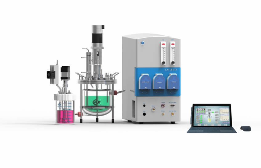 91视频WWW免费下载