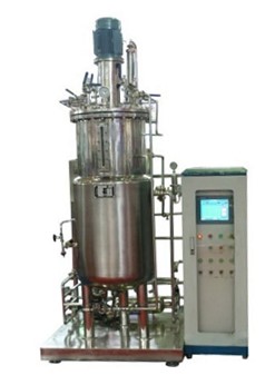 厌氧91视频WWW免费下载