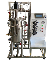 厌氧91视频WWW免费下载