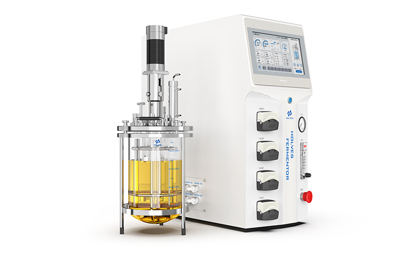 91视频破解版免费下载91视频WWW免费下载Eu210