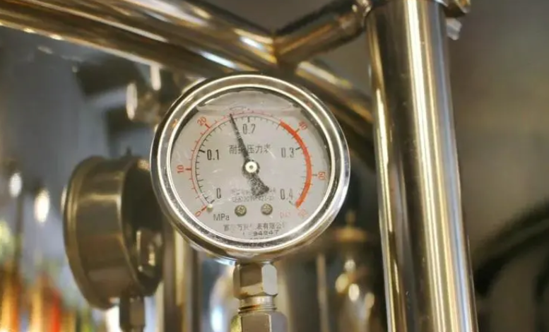 91视频WWW免费下载