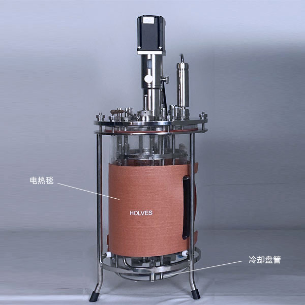 91视频破解版免费下载(HOLVES)实验91视频WWW免费下载 91视频破解版免费下载(HOLVES)实验91视频WWW免费下载