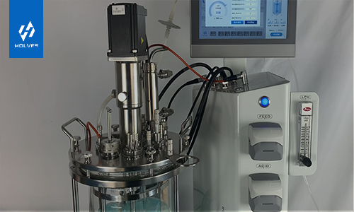 91视频WWW免费下载常见故障原因 91视频WWW免费下载常见故障原因