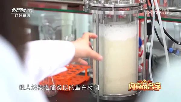 91视频WWW免费下载