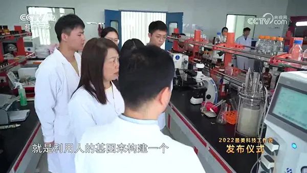 实验室91视频WWW免费下载