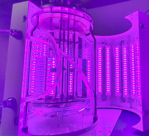 光照91视频污污的视频光照系统