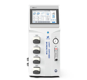 光照91视频污污的视频系统