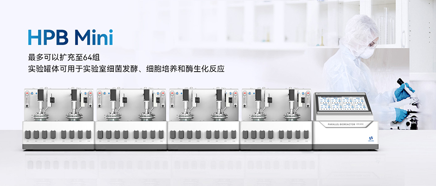 平行91视频污污的视频 平行91视频污污的视频