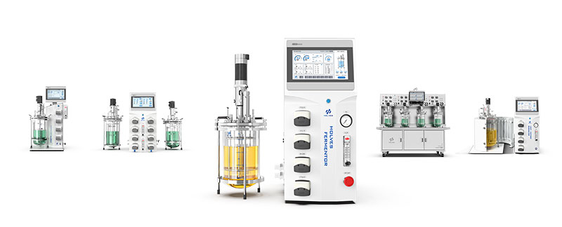 91视频破解版免费下载91视频WWW免费下载系列