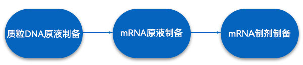 mRNA药物生产工艺步骤 mRNA药物生产工艺步骤