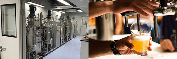 91视频WWW免费下载的应用