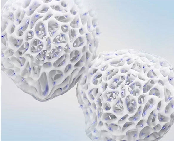 纤维素微载体-减少碰撞导致细胞脱落 纤维素微载体-减少碰撞导致细胞脱落