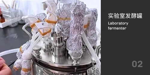 实验室91视频WWW免费下载灭菌